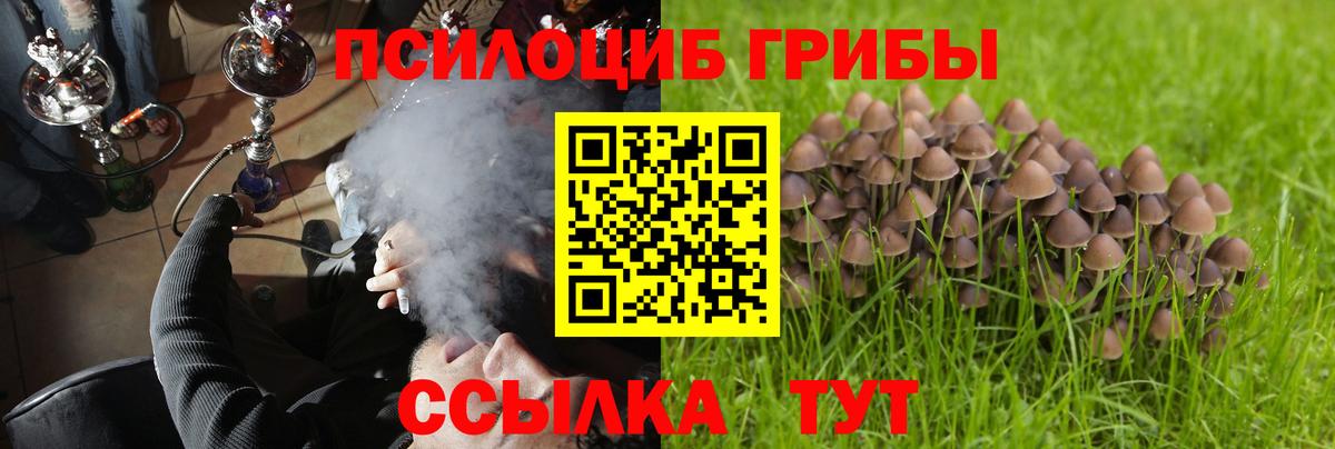 Псилоцибиновые грибы Magic Shrooms  Вход с VPN  Аша 